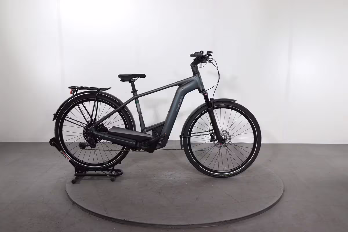 Bergamont E-Horizon Premium Expert