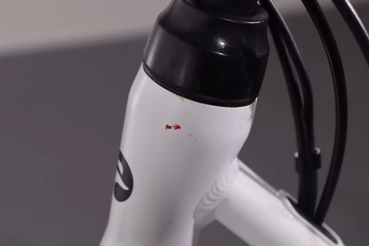 Batavus Cura - Miniature 9