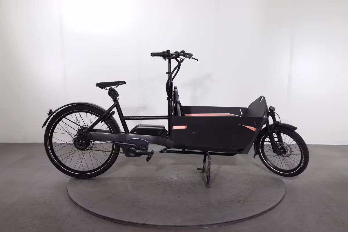 Riese & Müller Packster 60