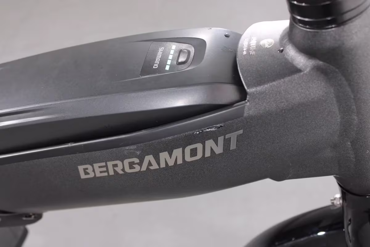 Bergamont Paul-E EQ Edition - Miniature 10