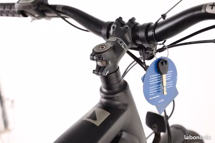 HAIBIKE Trekking 3.5 LTD 2023 Taille L - Vélo Vtc Électrique | Disponible à la location - Miniature 10