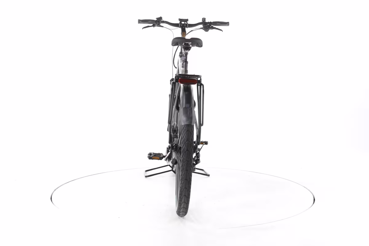 Pegasus Strong EVO 10 Vélo Électrique de Trekking - Miniature 10