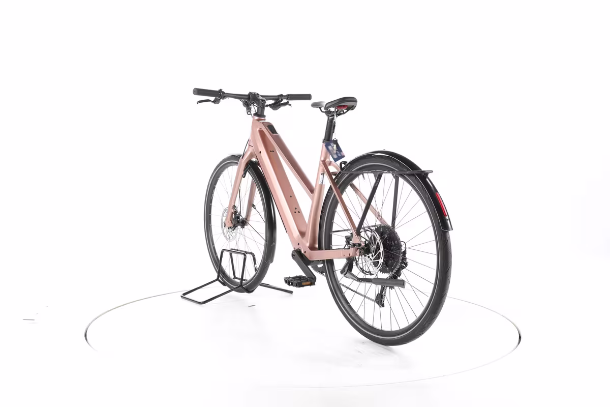 Riese & Müller UBN Seven touring Vélo Électrique de Trekking - Miniature 9