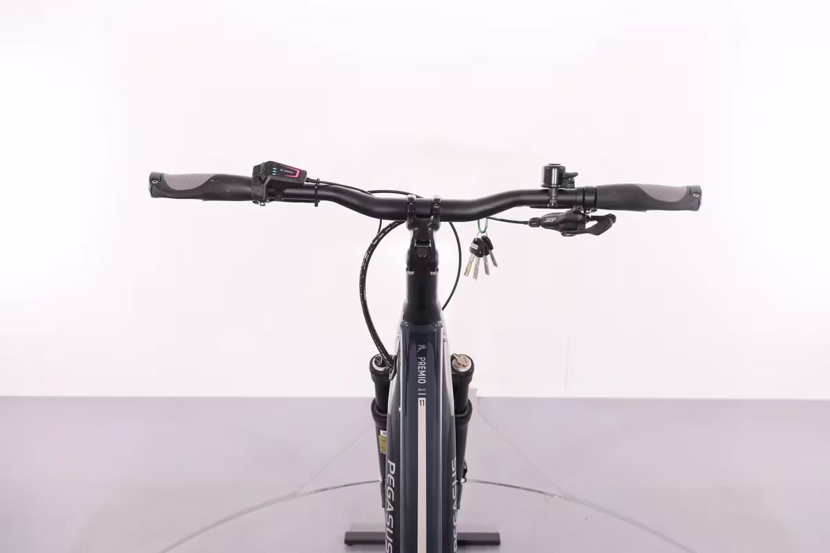 Pegasus Premio EVO 11 40 Years - Miniature 7