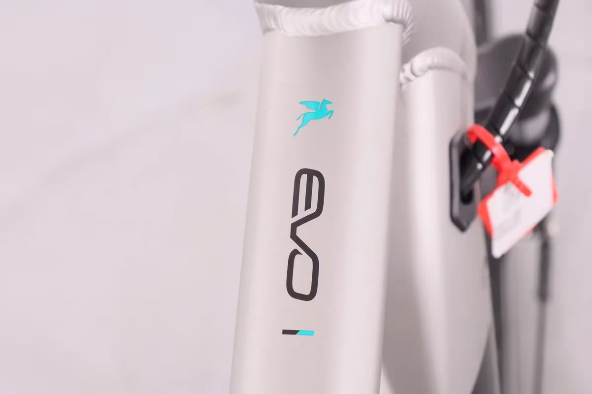 Pegasus Evo CX - Miniature 10