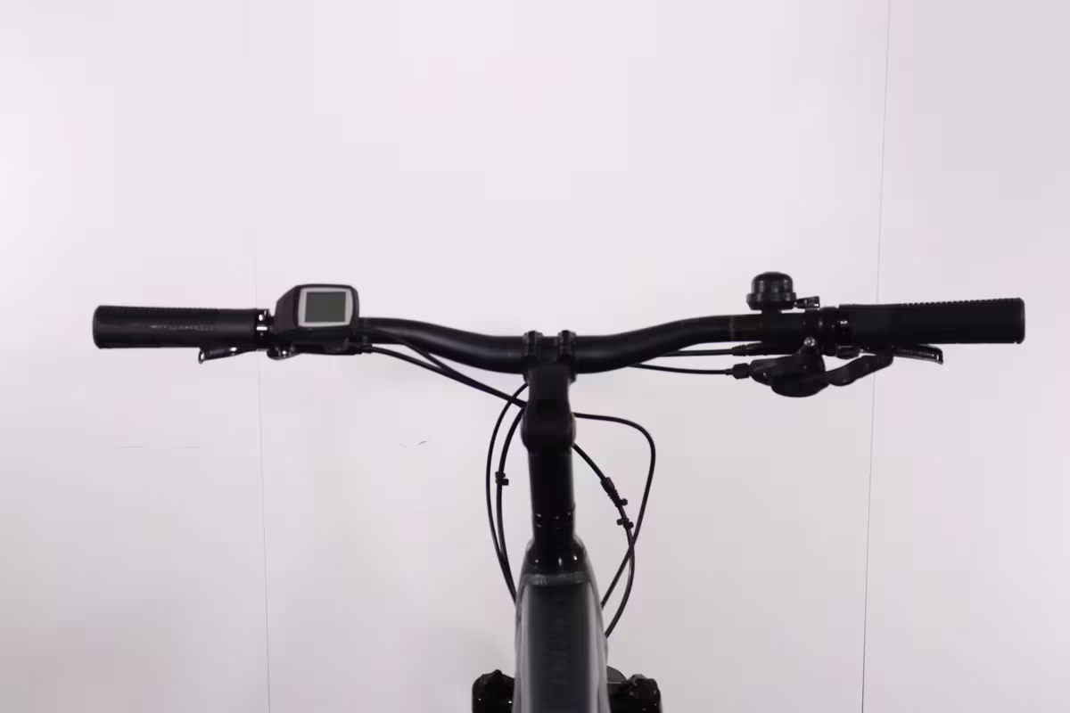 Bulls Iconic EVO 1 - Miniature 7