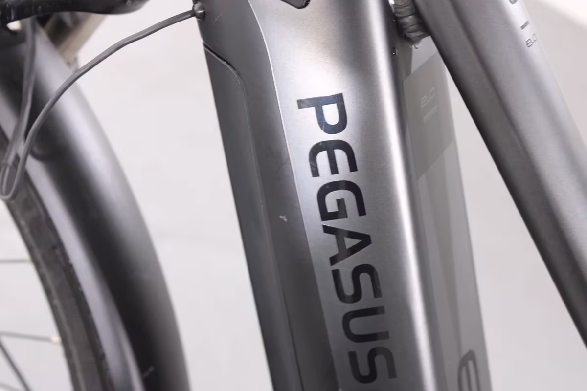 Pegasus Premio EVO 10 Lite - Miniature 10