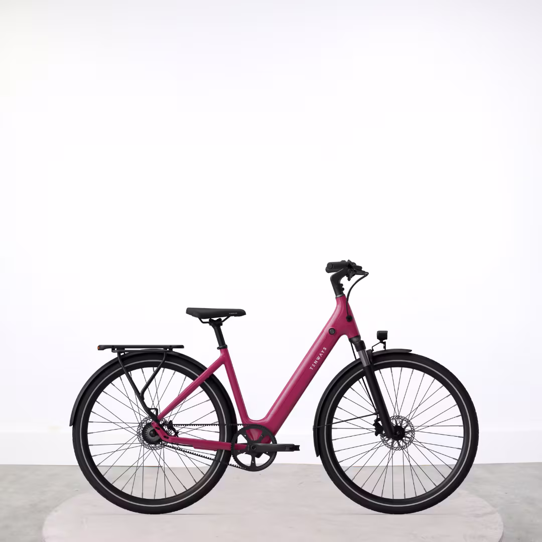 Vélo électrique Tenways CGO800S - Miniature 4