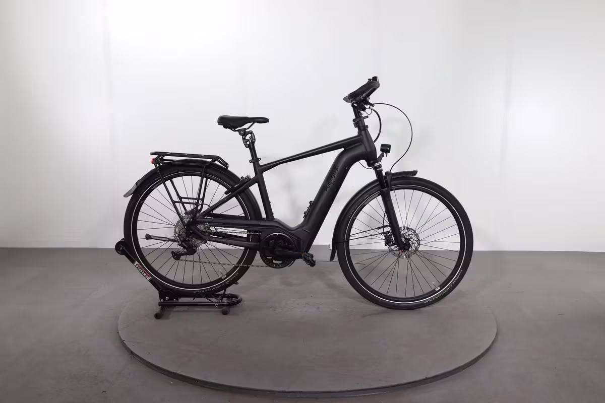 Pegasus Premio EVO 10 Lite