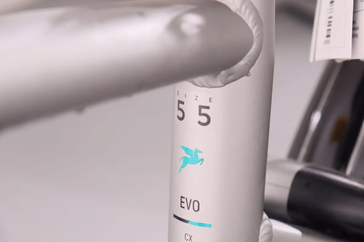 Pegasus Evo CX - Miniature 8