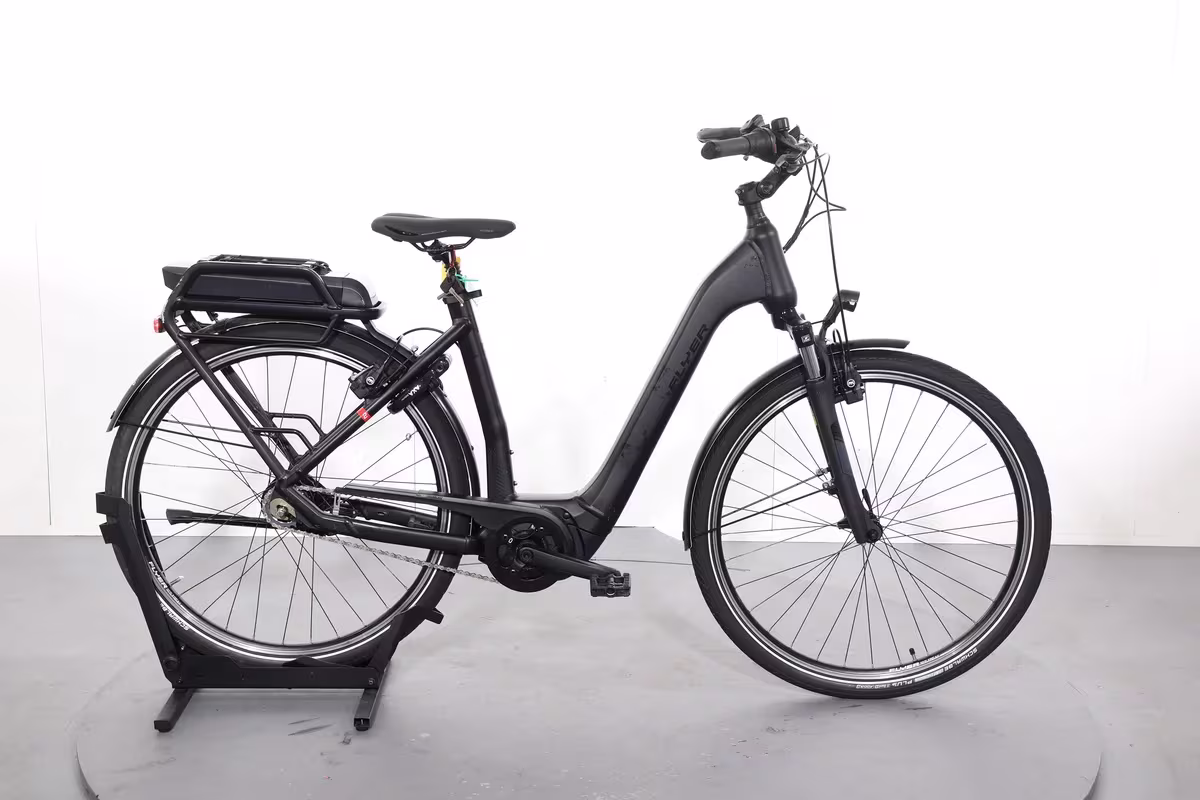 Flyer Gotour 2 5.00