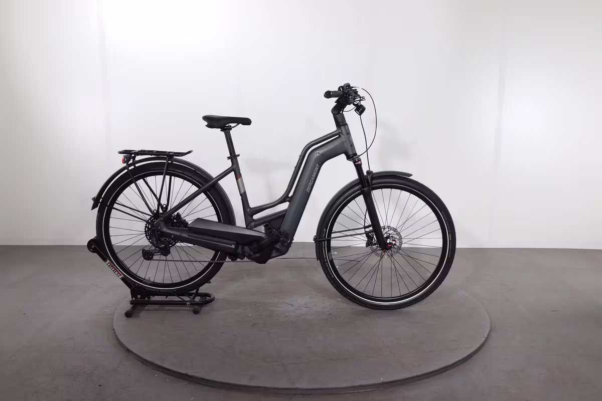 Bergamont E-Horizon Premium Expert
