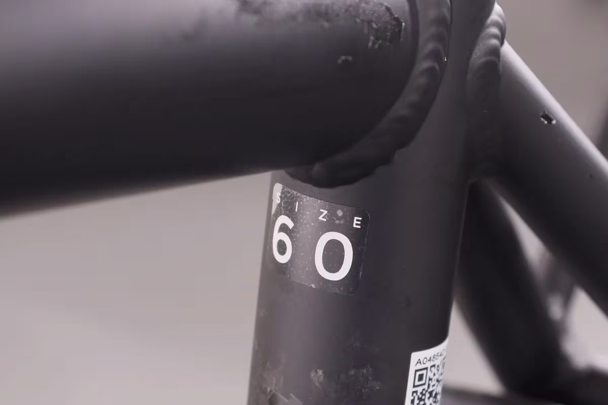 Pegasus Solero EVO 9 - Miniature 8