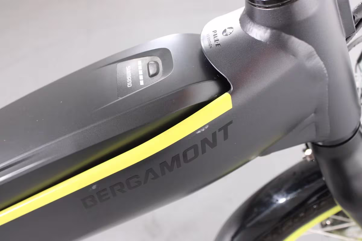 Bergamont Paul-E EQ Edition - Miniature 8