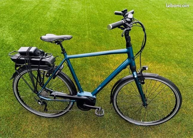 Vélo électrique Koga einspire 36v Bosch