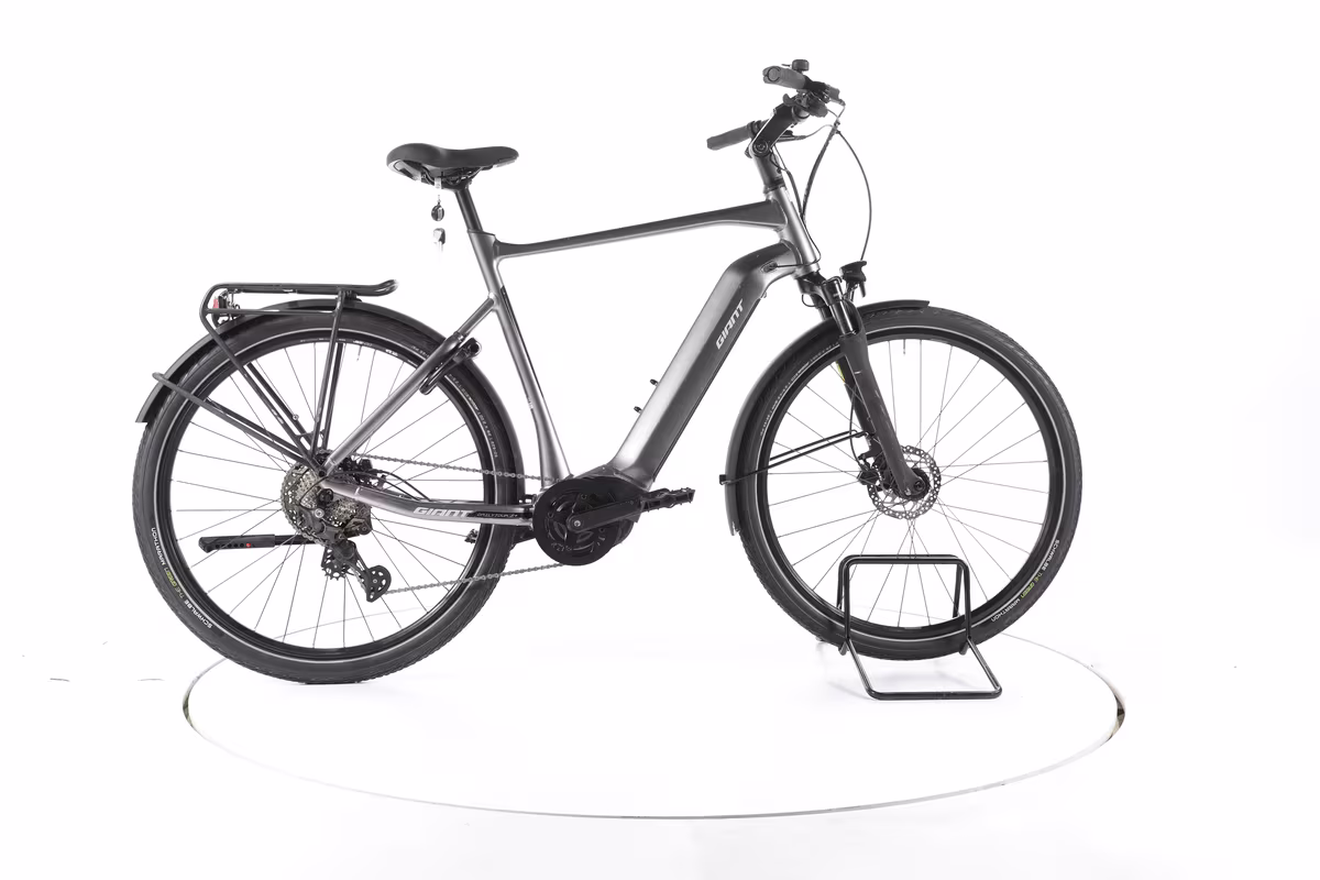Giant DailyTour E+ 2 D Vélo Électrique de Trekking