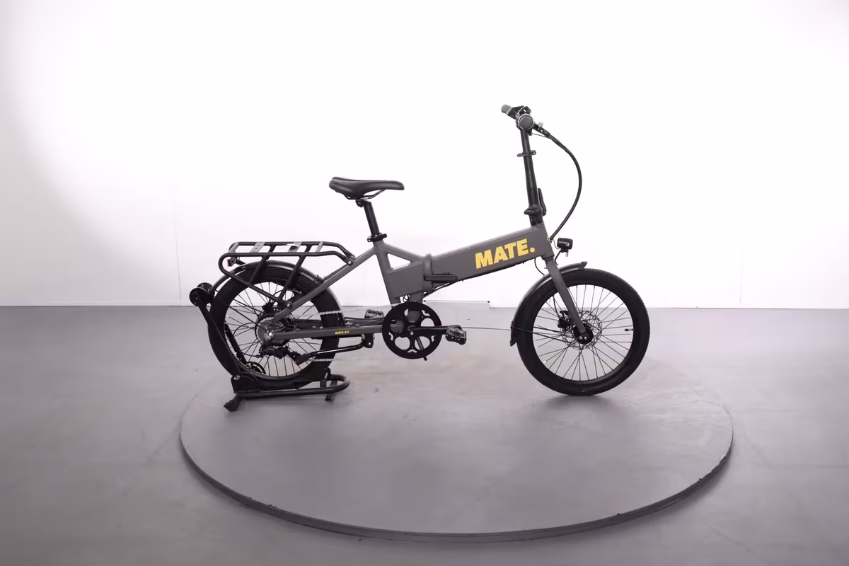 Mate GO 250W
