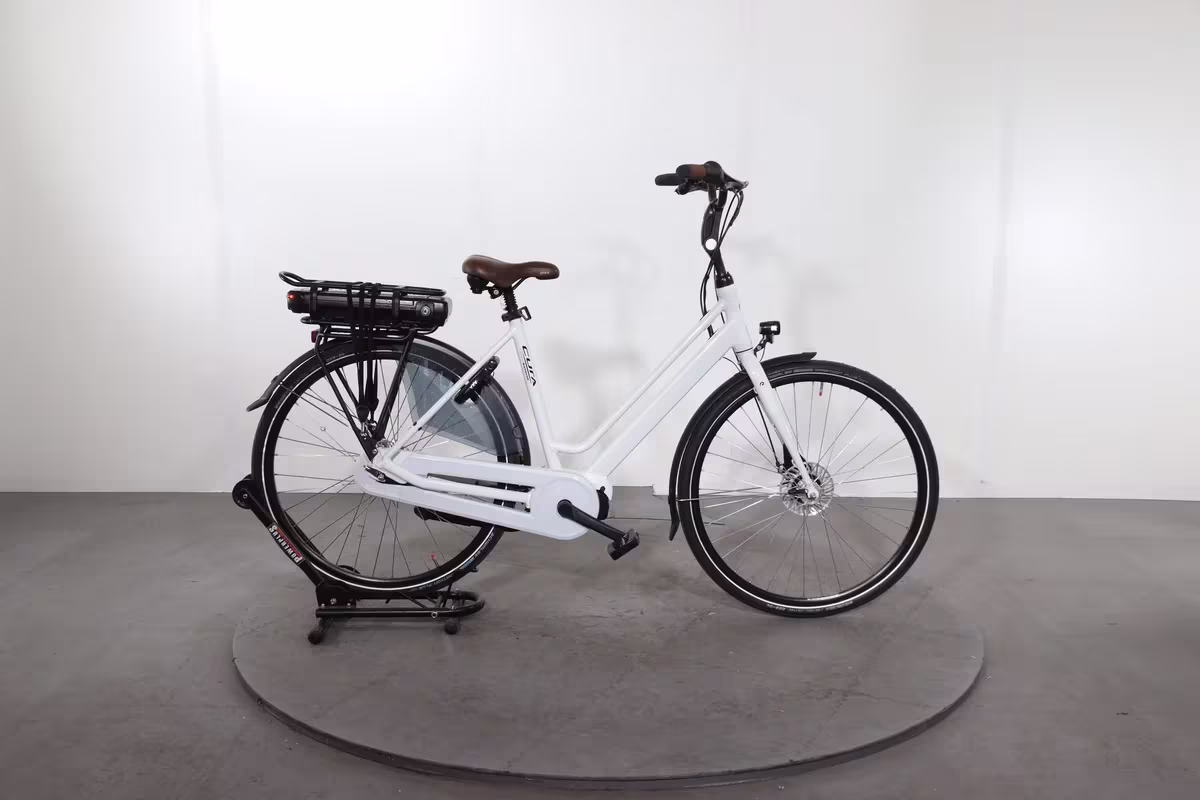 Batavus cura