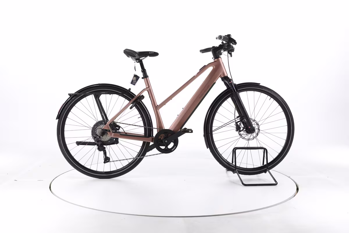 Riese & Müller UBN Seven touring