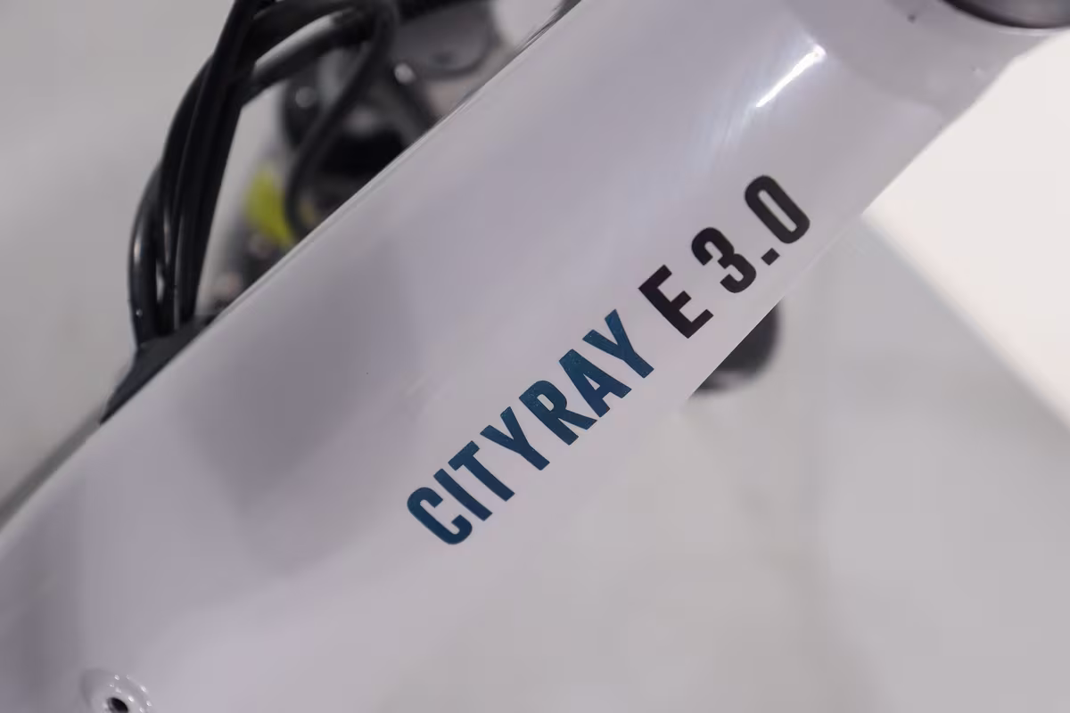 Raymon CityRay E 3.0 - Miniature 9