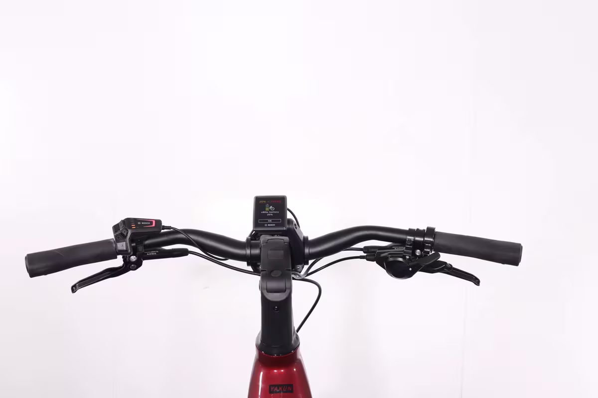 Winora Yakun X10 - Miniature 7