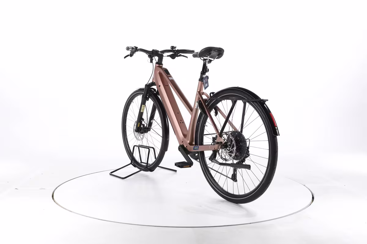 Riese & Müller UBN Seven touring Vélo Électrique de Trekking - Miniature 9