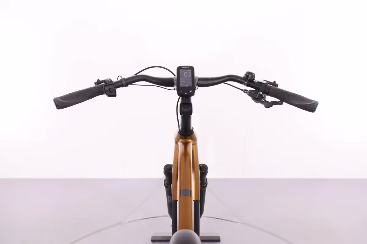 BESV TR 1.3 - Miniature 7
