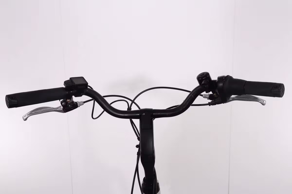 Batavus Cura - Miniature 7